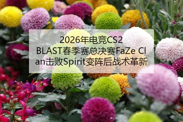 nian-dian-jing-chun-ji-sai-zong-jue-sai-ji-bai-bian-zhen-hou-zhan-shu-ge-xin-2-324.jpg