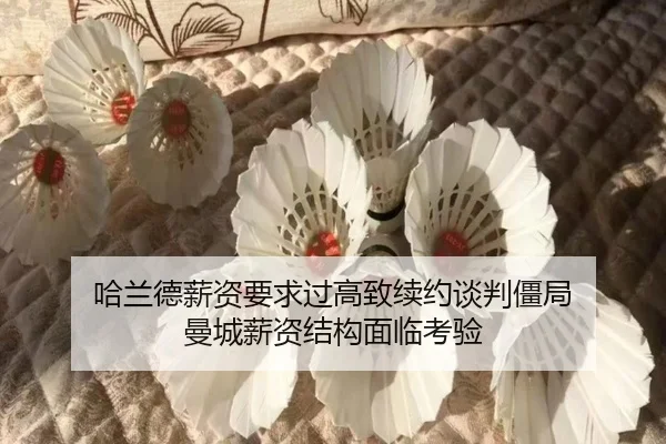 ha-lan-de-xin-zi-yao-qiu-guo-gao-zhi-xu-yue-tan-pan-jiang-ju-man-cheng-xin-zi-jie-gou-mian-lin-kao-yan-2-673.jpg