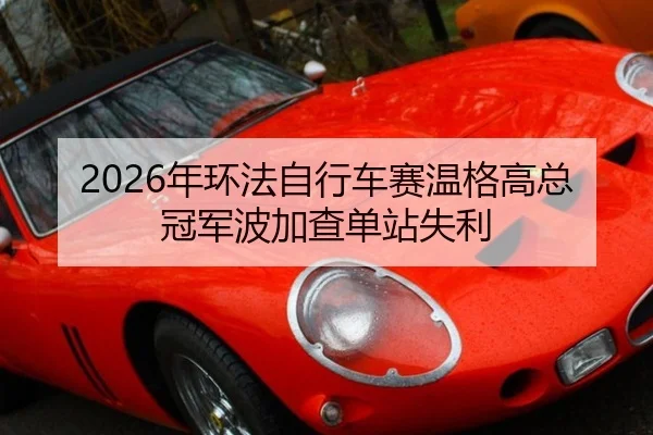 nian-huan-fa-zi-xing-che-sai-wen-ge-gao-zong-guan-jun-bo-jia-cha-dan-zhan-shi-li-3-481.jpg