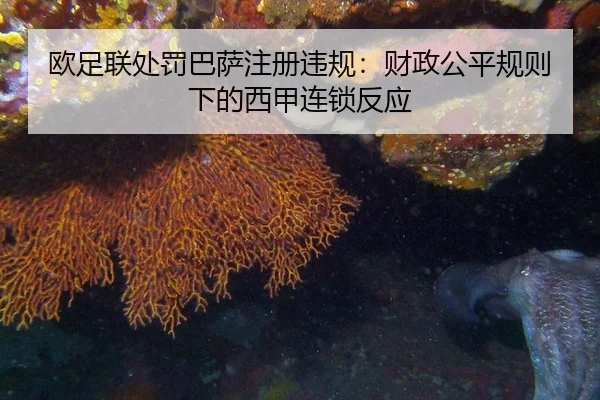 ou-zu-lian-chu-fa-ba-sa-zhu-ce-wei-gui-cai-zheng-gong-ping-gui-ze-xia-de-xi-jia-lian-suo-fan-ying-3-260.jpg